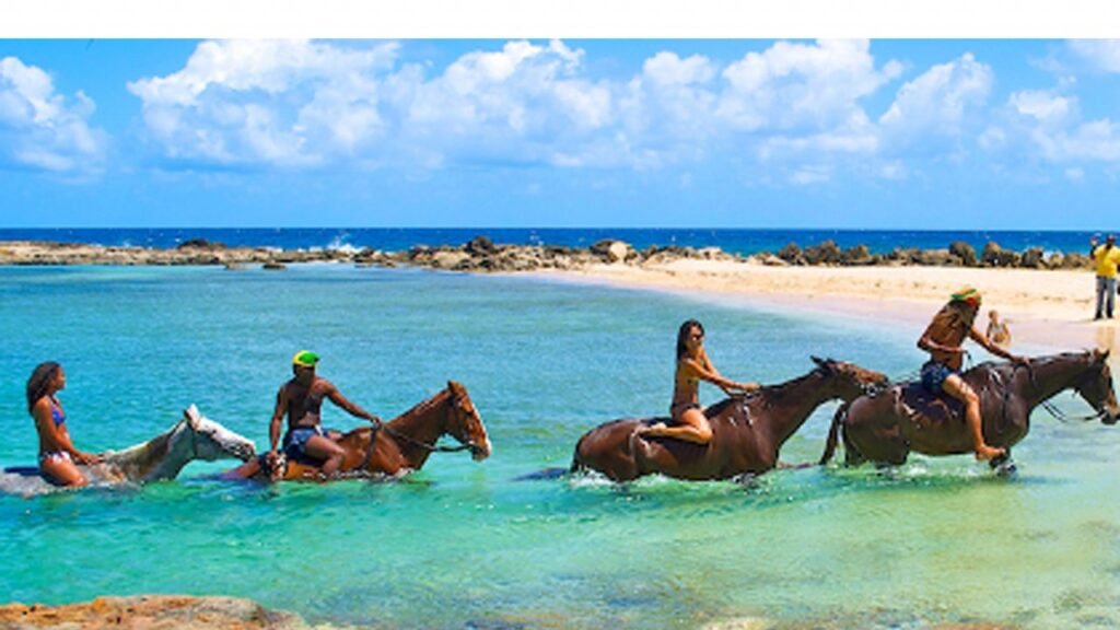 Image of horse riding and swimming