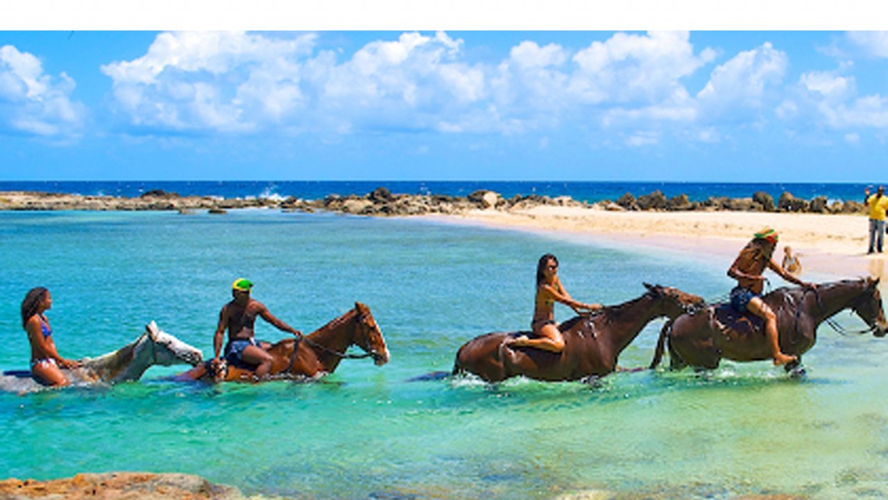 Image of horse riding and swimming