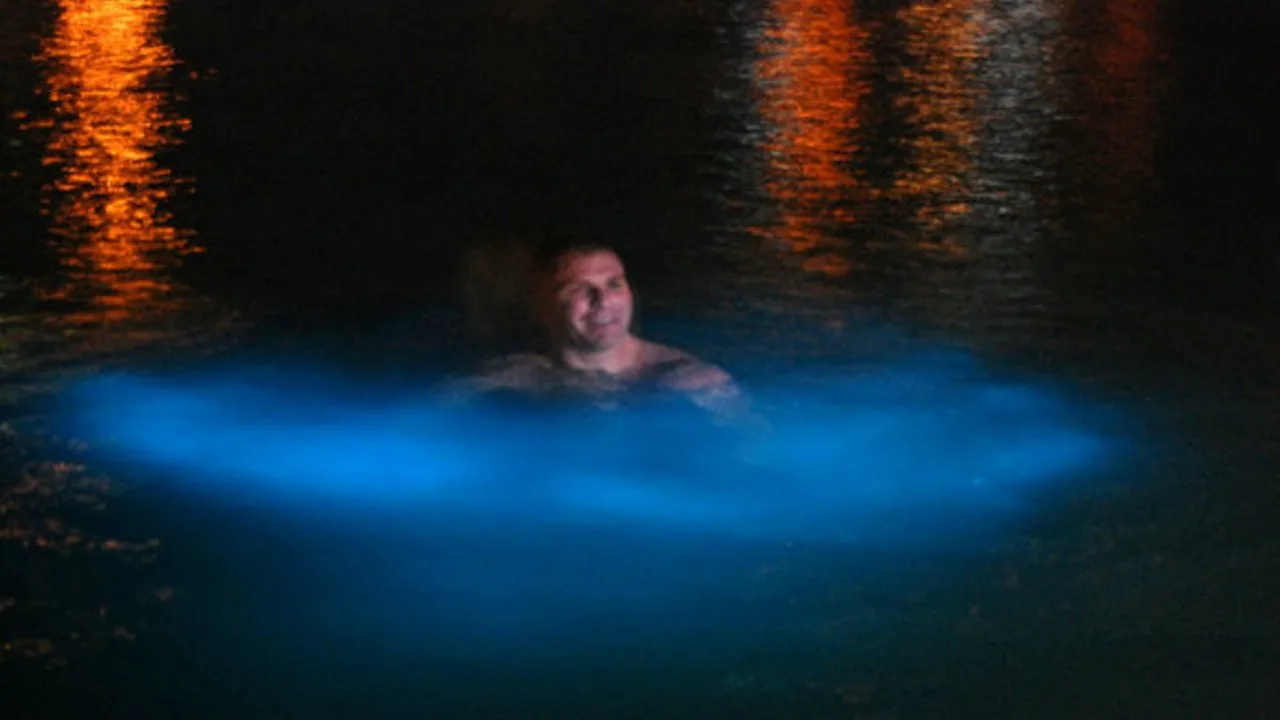 Luminous Lagoon Tour