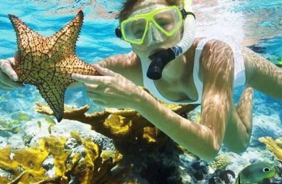 Image of snorkeling in Jamaica