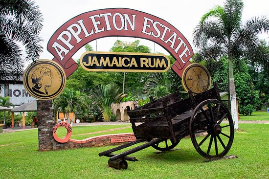 image of appleton rum tour