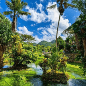 RastaSafari: ATV Adventure with Ganja Field Visit - 3 Hours