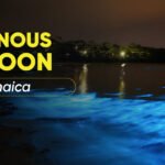 luminous lagoon tour jamaica