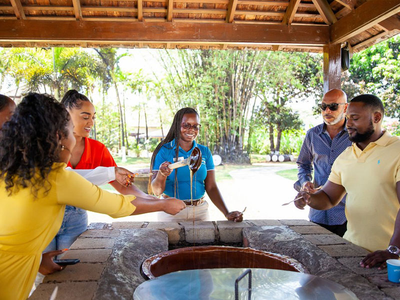 irie-excursions-and-tours-attractions-appleton-rum-factory-1