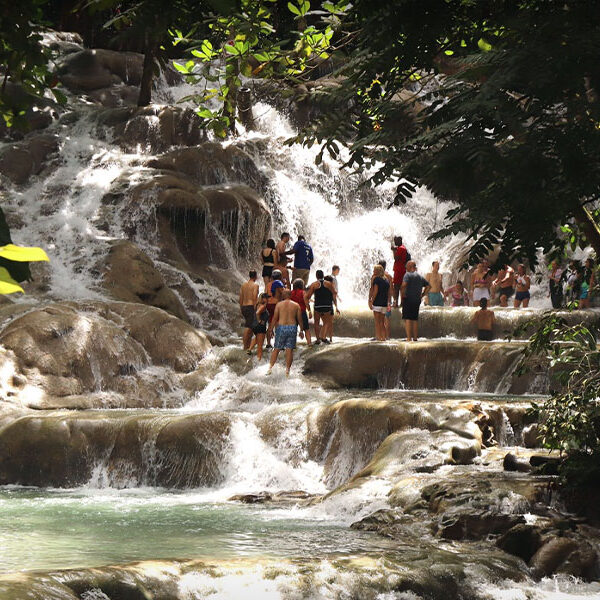 Dunn’s River Falls with Coffee & Rum Tasting Experience