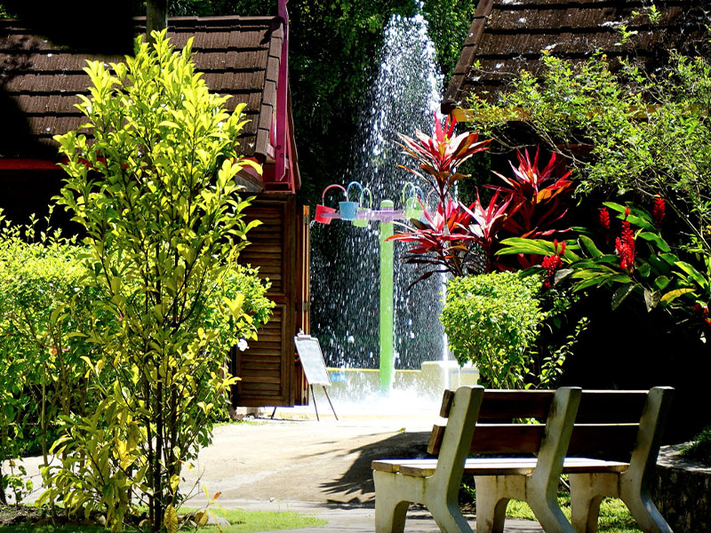 irie-excursions-and-tours-attractions-dunns-river-falls-2