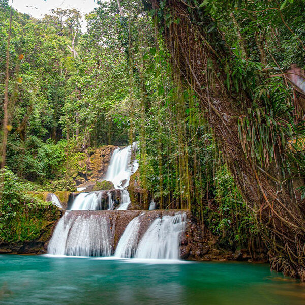 Pelican Bar, YS Falls & Black River Combo Tour