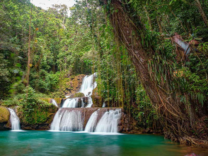 irie-excursions-and-tours-attractions-ys-alls