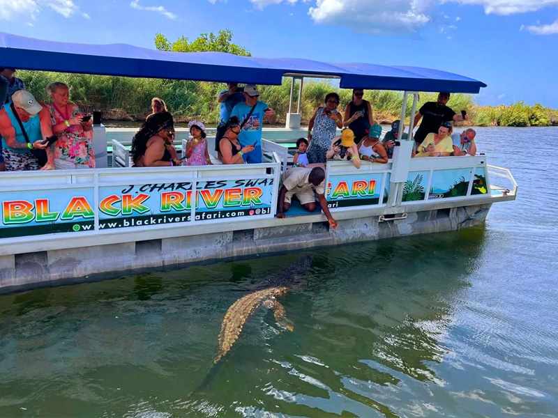 irie-excursions-and-tours-attractions-black-river-safari-1