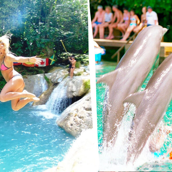 Swim with Dolphins & Blue Hole Secret Falls