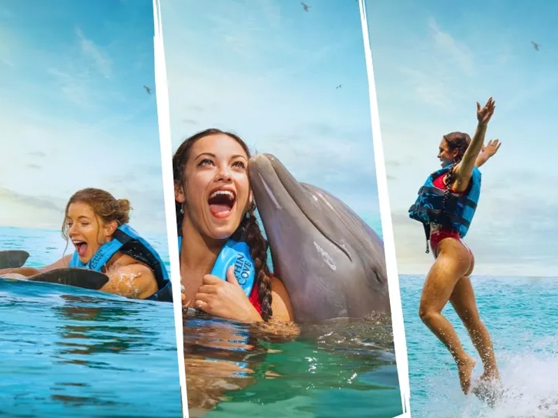 irie-excursions-and-tours-attractions-dolphin-cove-ocho-rios-main