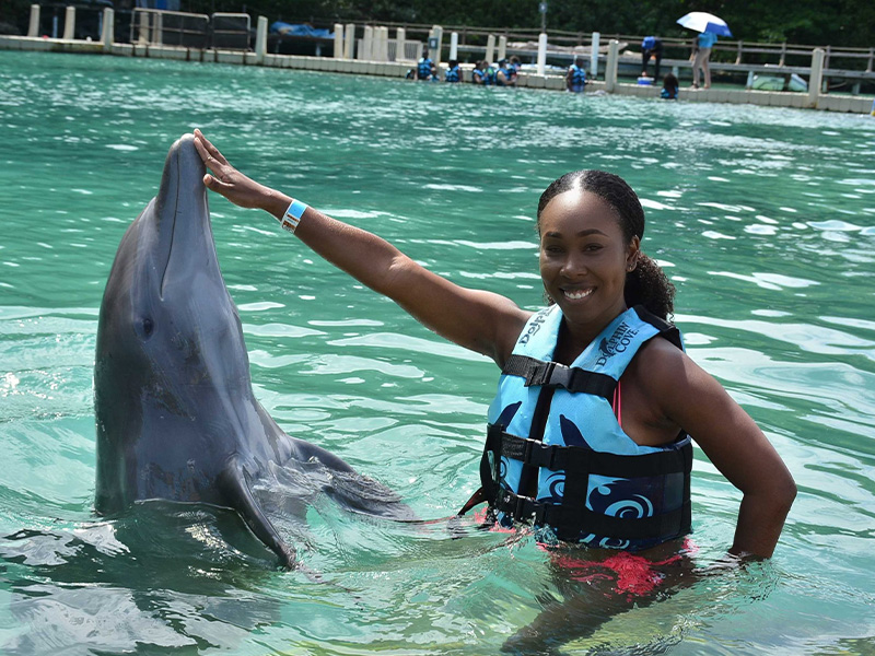 irie-excursions-and-tours-attractions-dolphin-cove-ocho-rios