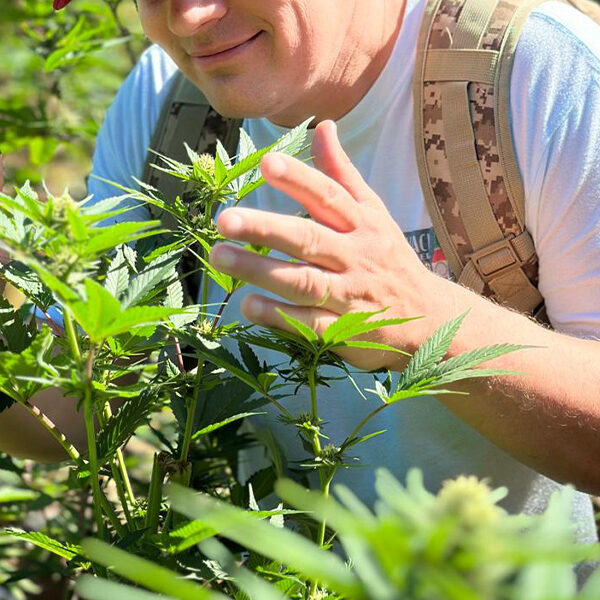 RastaSafari Experience: ATV & Weed Farm Tour