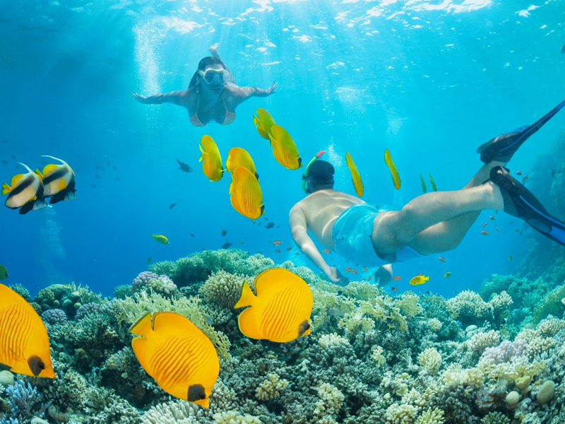 irie-excursions-and-tours-attractions-snorkeling
