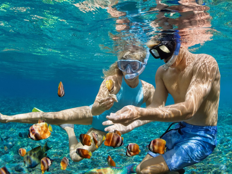 irie-excursions-and-tours-attractions-snorkelling